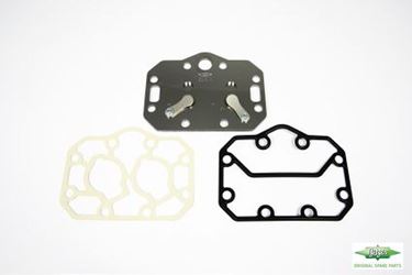 Picture of 304059-09  VALVE PLATE COMPLETE GASKET