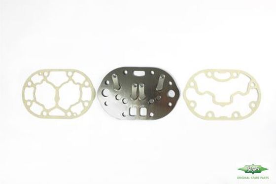 Picture of 304017-01 VALVE PLATE C/W GASKET