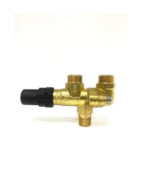 Picture of CASTEL 3032/44 CHANGEOVER VALVES - DUAL VALVE , 1/2" NPT